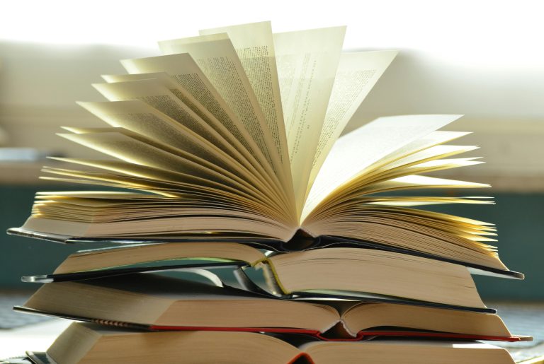 Literatur erobert die Stadt